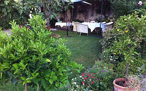 Giardino