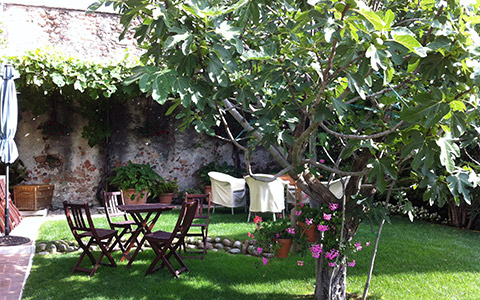 Giardino