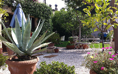 Giardino