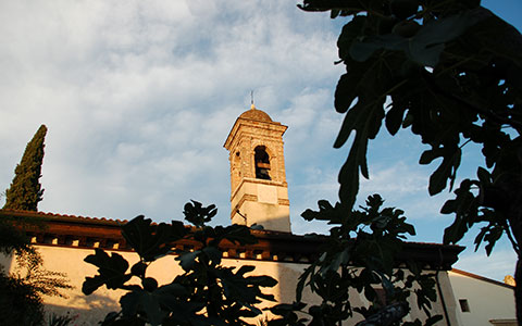 Esterno