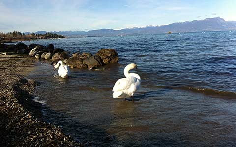 Lago di Garda