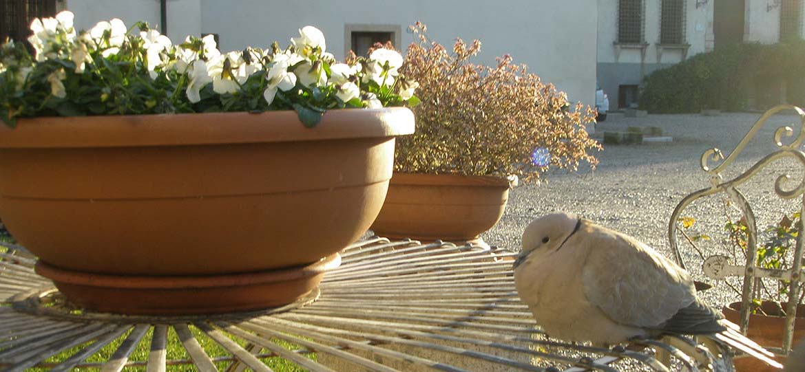 Bed and Breakfast Casa Villa d'Arco